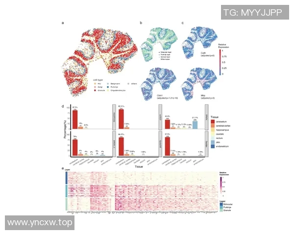 武汉羽毛球队团队协作表现的数据分析与提升策略探讨