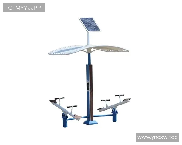 深圳室外健身器材厂家：为户外运动提供高性能设备