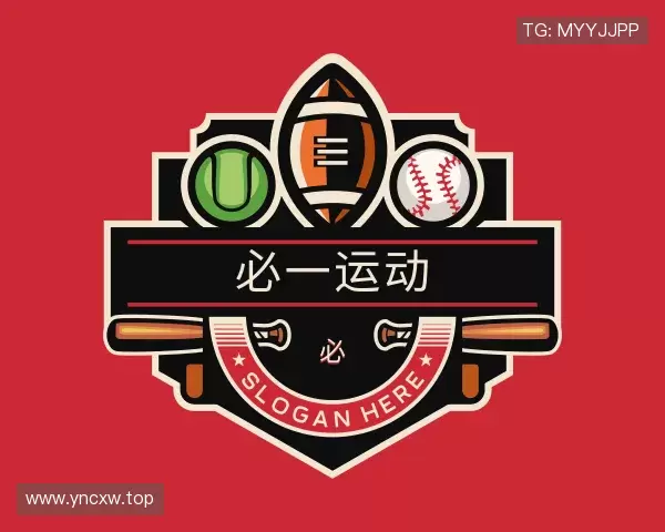 认识Bsports